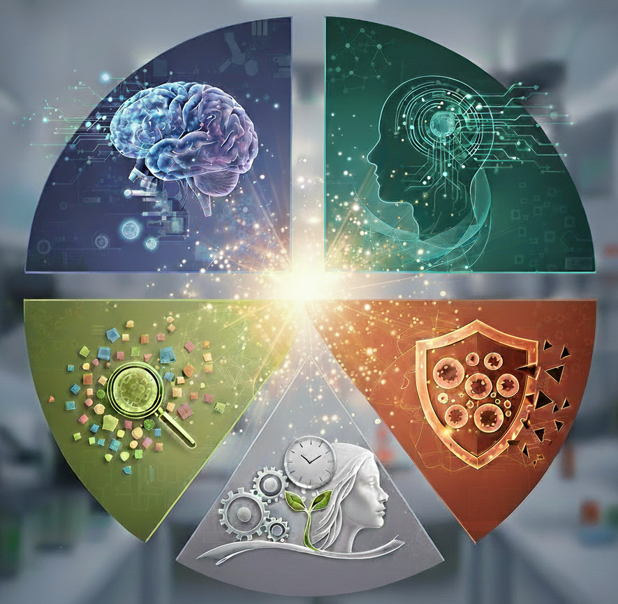 abstract pie graph of brain protection